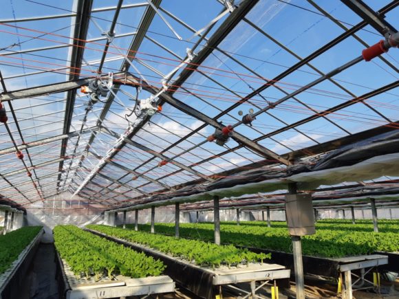 仕上がりを最優先に、誠実に向き合います