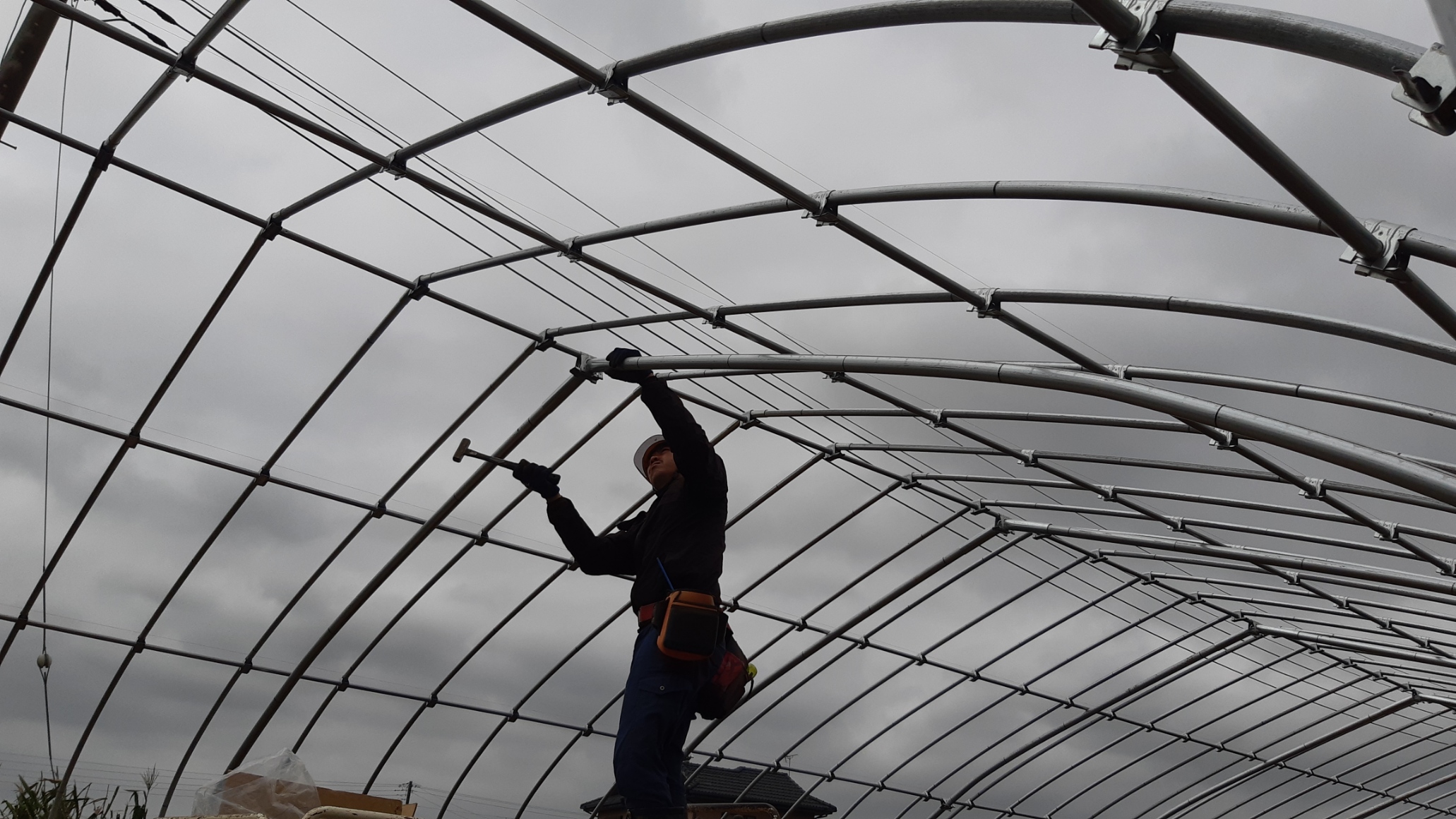 社歴より、成長を見て評価します